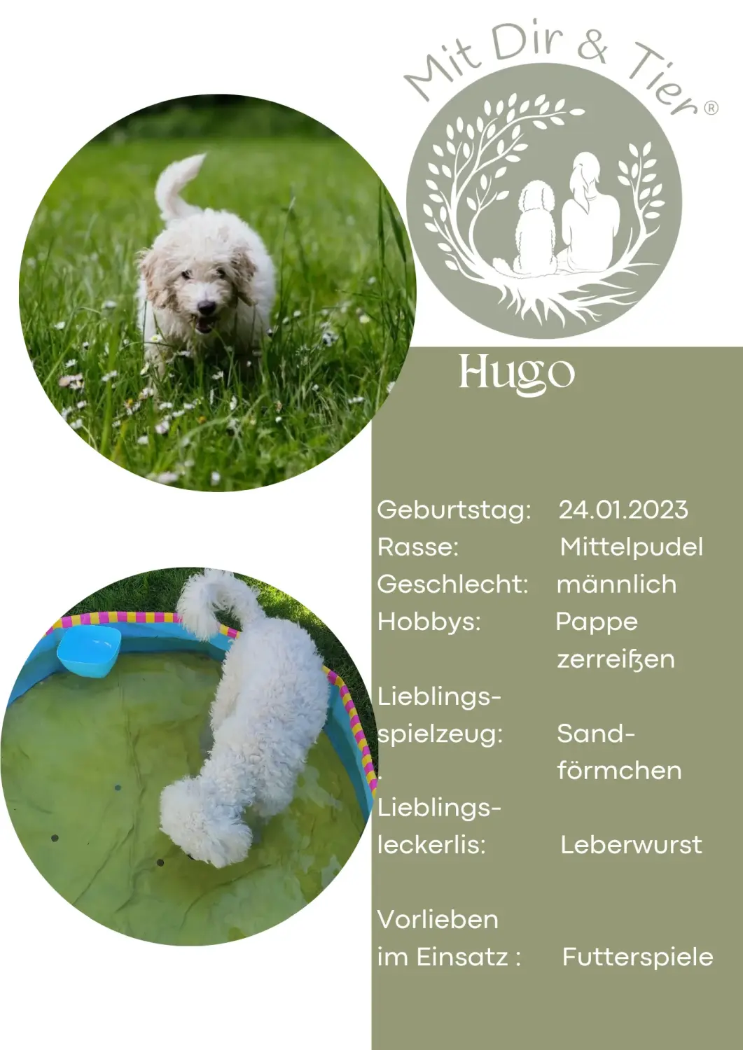 Hugo von Mit Dir & Tier